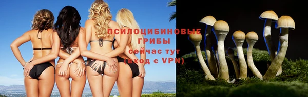 прущие крисы Горнозаводск