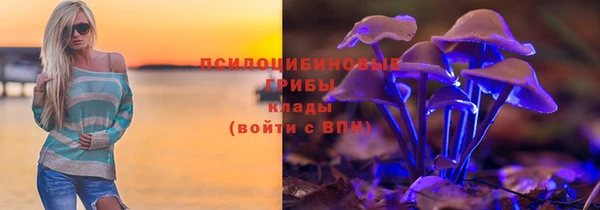 сатива Абаза