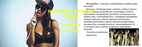 сатива Абаза