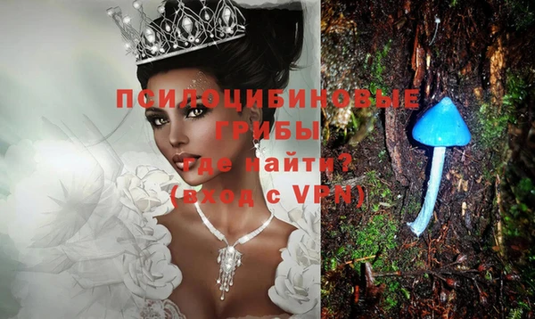 сатива Абаза