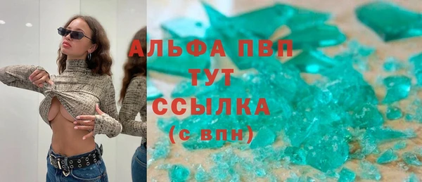 сатива Абаза
