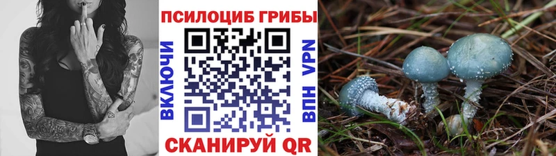 сколько стоит  KRAKEN ССЫЛКА  Псилоцибиновые грибы мухоморы  Магнитогорск 